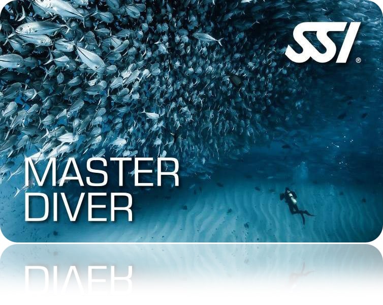 Zertifitierungskarte SSI Master Diver