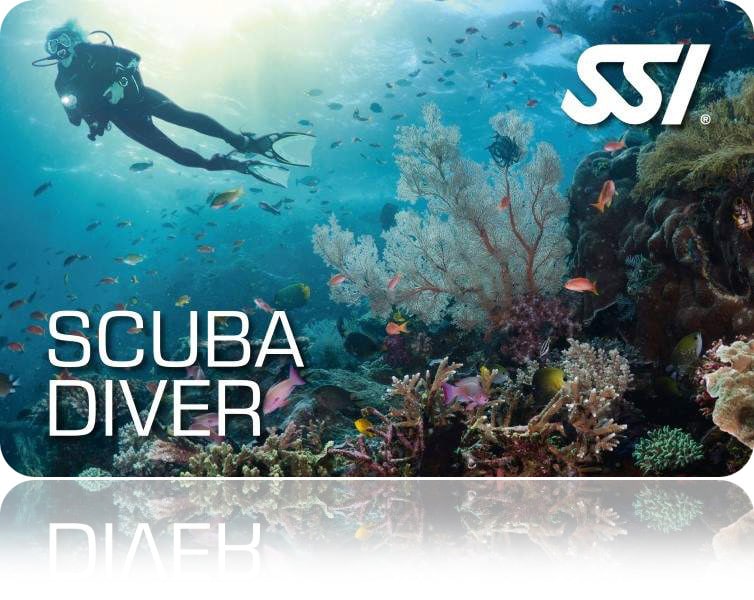 Zertifitierungskarte SSI Scuba Diver