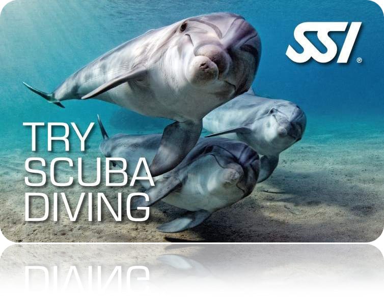 Zertifitierungskarte SSI Try Scuba Diving